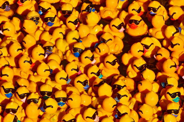 Maschseefest   537.jpg